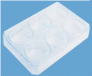 1603183128157615.png 139.png