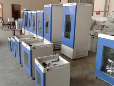 1603417517268303.jpg 026362164185531363021316481.jpg