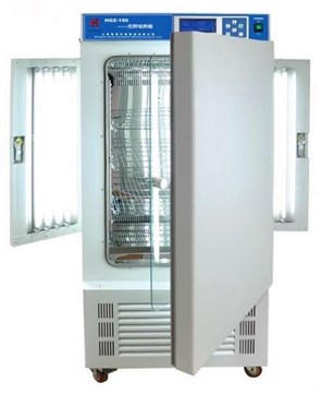 1604477716453198.jpg 31.jpg