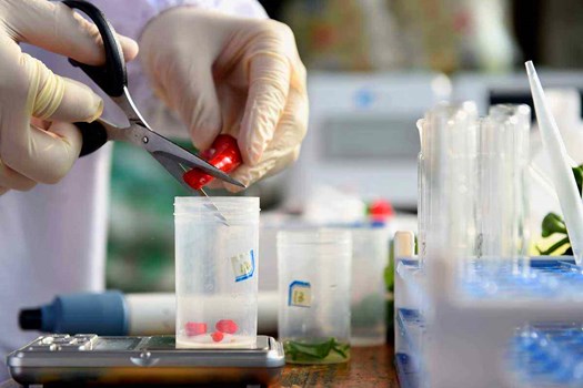 1604650230227694.jpg 食品安全.jpg