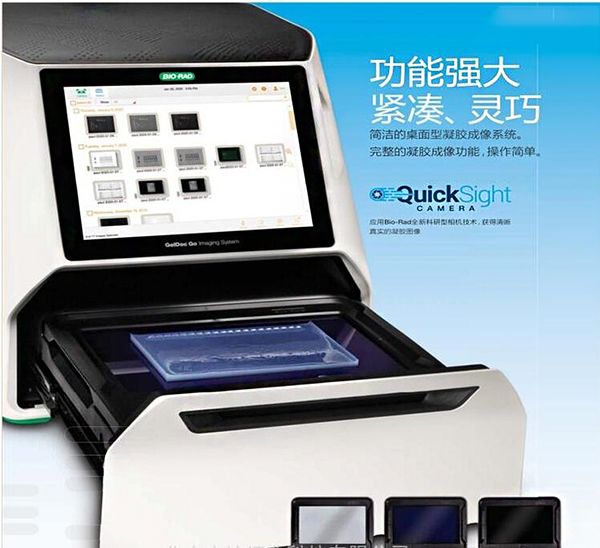 1606199189182070.jpg 637370565843773994987.jpg