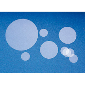 蓋玻片 蓋玻片