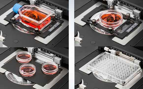 奧林巴斯Olympus顯微鏡CKX53的結構圖解