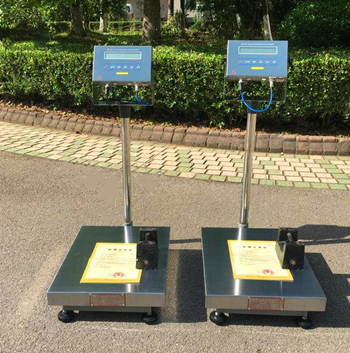 常州宏力XK3101本安型防爆臺秤 常州宏力XK3101本安型防爆臺秤