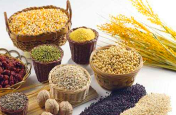 谷物食品 谷物食品