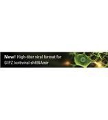 RNAi文庫 RNAi文庫