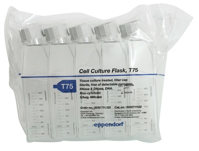 1608797107193066.png 1603102461.png