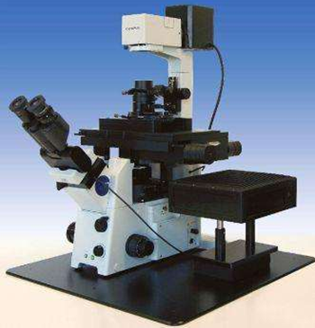 1609747544986167.png 5.PNG