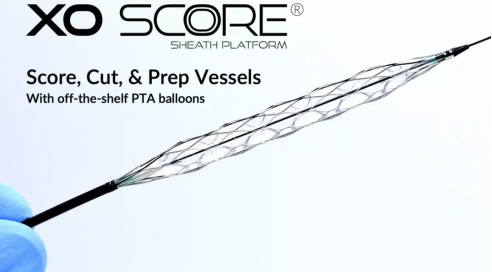 1616577040647516.png image.png