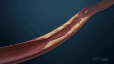 1616577049490503.png image.png