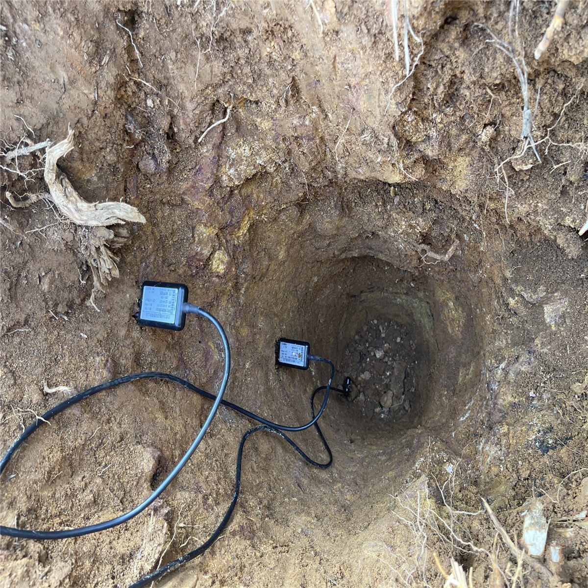 123456.jpg 123456.jpg