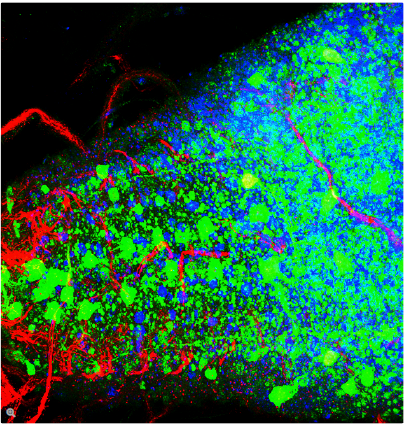 20240115-1705149157.png 20240115-1705149157.png