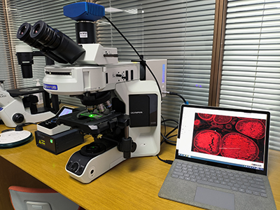 20240205-41413416.jpg daab6b19edac1bb1ae972a8caa57c2fc_1203766254.jpg