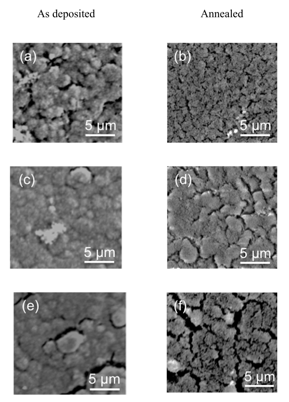 20231121-1340777617.png 圖片1(5).png