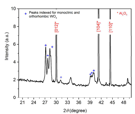 20231121-1880764385.png 圖片1(6).png