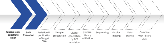 20240702-1297521341.jpg 2345_image_file_copy_2.jpg