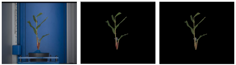 1734343047583682.png image.png