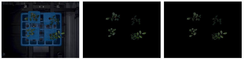 1734343016864361.png image.png