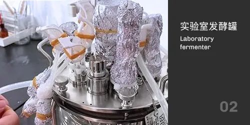 1751522242656734.jpg 2.jpg