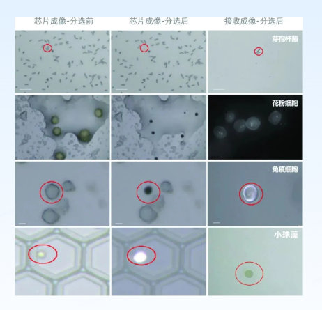 1773019140706253.png 11.png