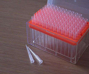 德國(guó)Brand 普蘭德 原裝200ul帶濾芯移液頭