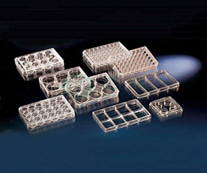 Thermo Nunc 6孔板 細胞培養板140675 平底 已滅菌 進口