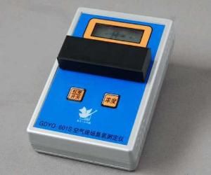 空氣現場臭氧測定儀GDYK-601S