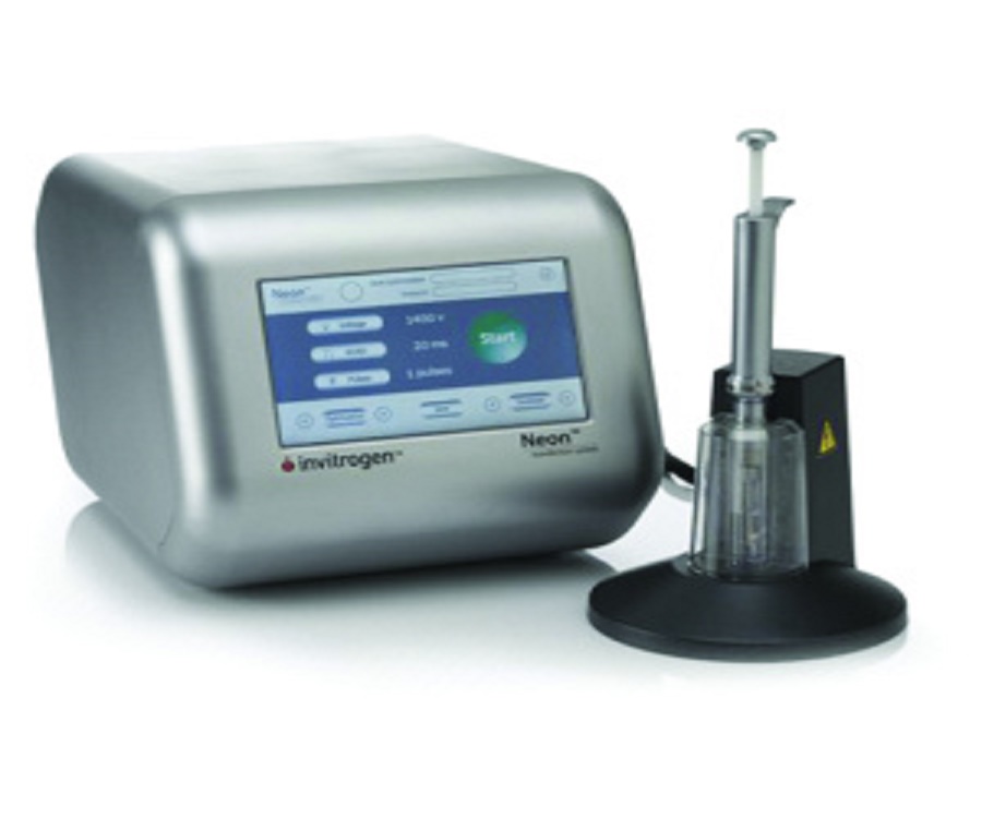 Neon （invitrogen）電轉染系統
