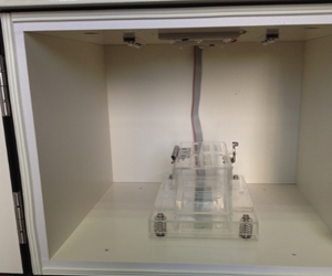 SuperMaze 震驚條件反射實驗分析系統