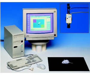 TSE洞板行為系統