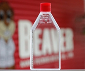 WHB-CCF75-1 75cm²培養(yǎng)瓶