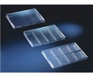 Nunc 方形培養皿 267061