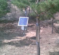 PE-PE07 植物生理生態系統