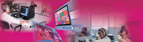 OPTPro2008數碼互動教室