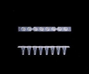 美國KIRGEN科進 0.1ml8聯(lián)排管 KG2541 光學(xué)平蓋 透明色PCR管