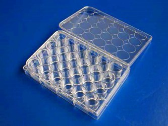 BRAND標準24孔板細胞培養板