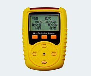 MX2100復(fù)合氣體檢測(cè)儀 可燃?xì)怏w檢測(cè)儀 有毒氣體檢測(cè)儀