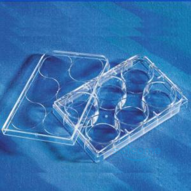 6孔細胞培養板