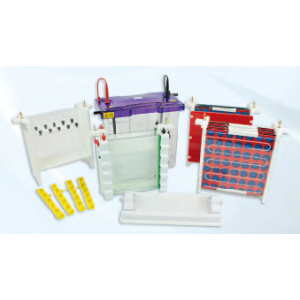 電轉印大型垂直電泳儀VS20 WAVETETRAD1CBS 英國Cleaver