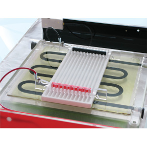 英國Cleaver)蛋白質雙向電泳系統等電聚焦與第二維電泳-CSL-IEF-KIT-MAXIPLUS