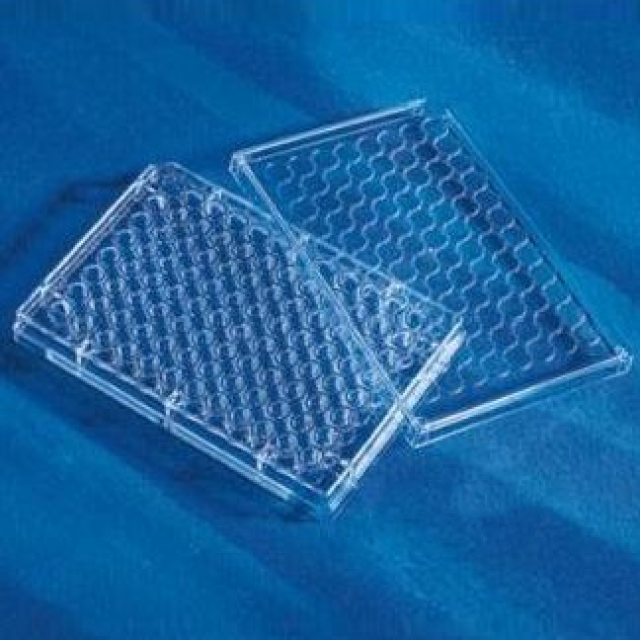 96孔V型底培養板