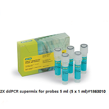 數字PCR探針法2X預混液