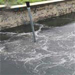 SBJ10/20-D深水曝氣攪拌兩用機葉輪