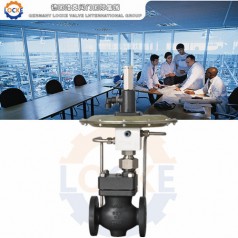 進口泄氮閥性能參數,報價/價格,圖片