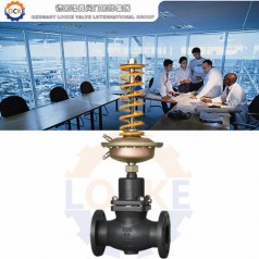 進口自力式壓差調節閥性能參數,報價/價格,圖片