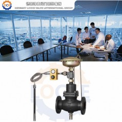 進口自力式流量溫度組合閥性能參數,報價/價格,圖片