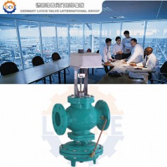 進口動態平衡電動調節閥性能參數,報價/價格,圖片