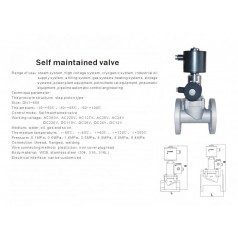 進(jìn)口自保持電磁閥-德國(guó)萊克自保持雙線圈電磁閥