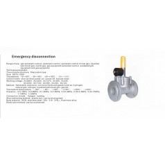 進口低壓緊急切斷電磁閥（通電關閉、手動打開）