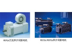 德國倫茨交流伺服電機(jī)